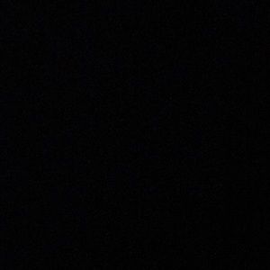 Meet your Posher, Sasha